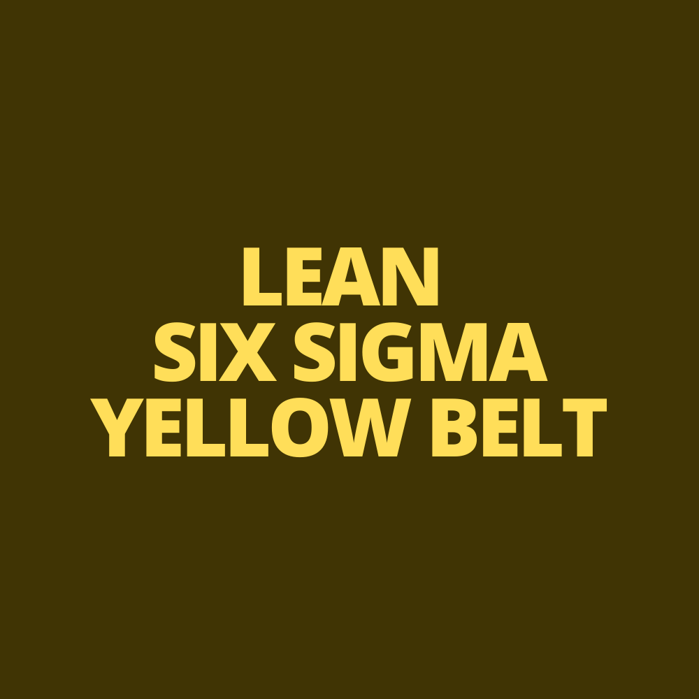 Lean Six Sigma: Yellow Belt